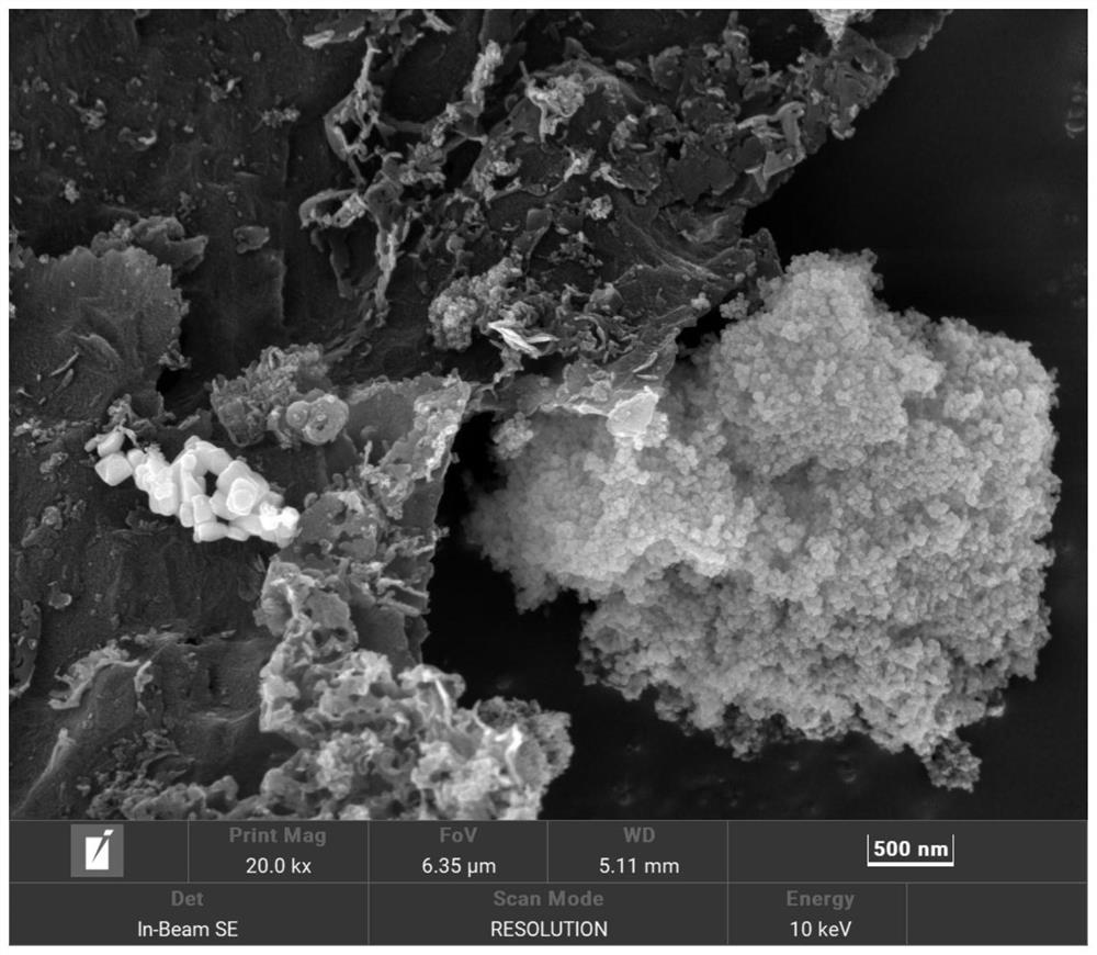 Method for treating antibiotic wastewater by using carbon nitride/tungsten trioxide/zinc sulfide double-Z type composite photocatalyst