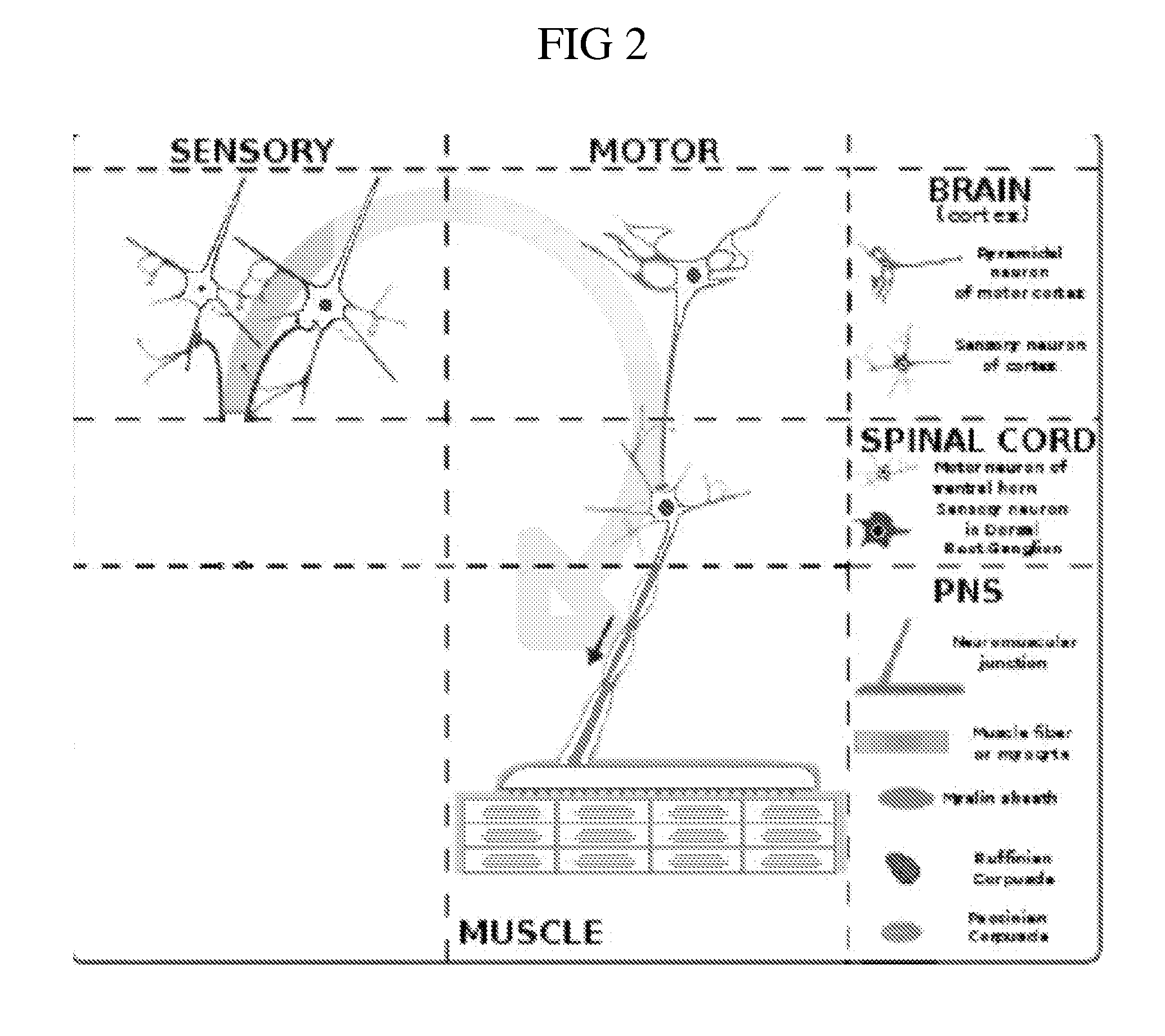 Methods and systems for using a visual signal as a concentration aid