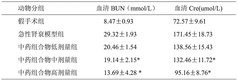 Application of traditional Chinese medicine composition to preparation of acute renal failure treatment drug