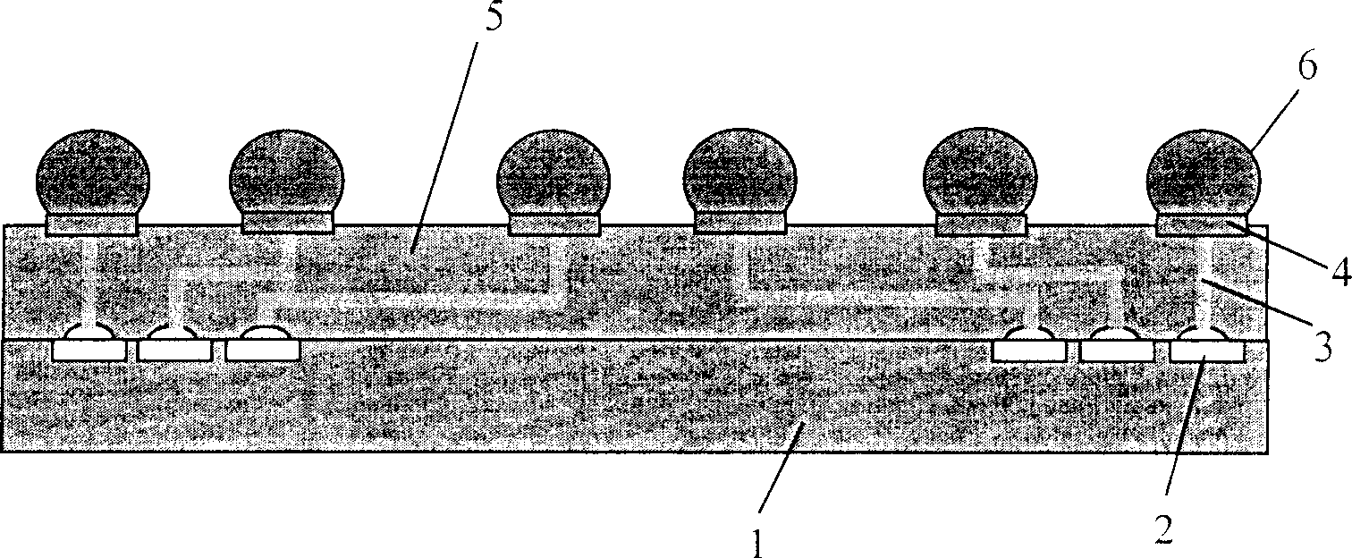 Chip packaging structure