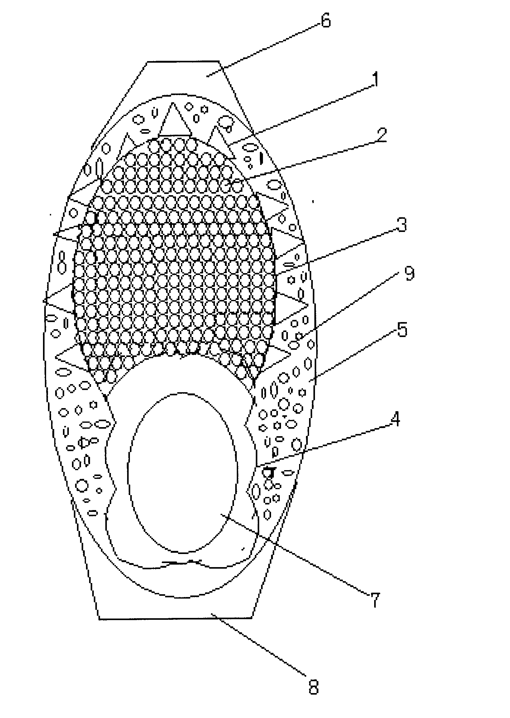 Novel thorn anti-skid shoes