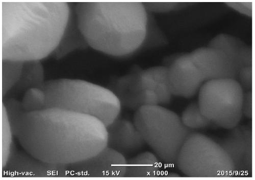 Electrode for electrochemical reduction of carbon dioxide, preparation method and application thereof