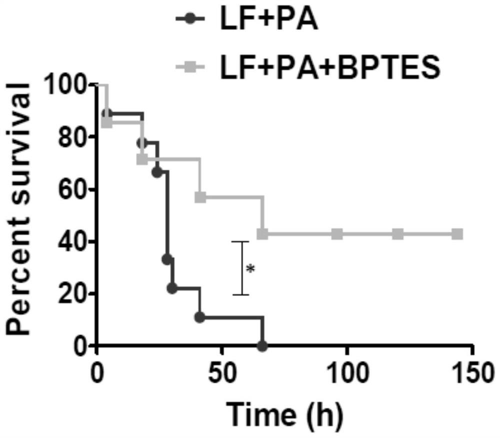 Application of BPTES in preparation of medicine for preventing or treating anthracnose