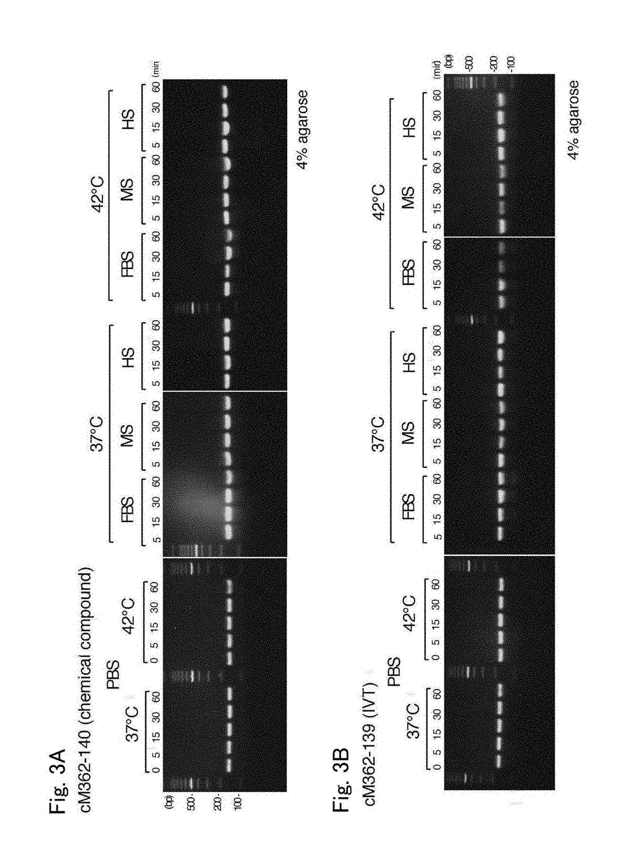 Adjuvant composition