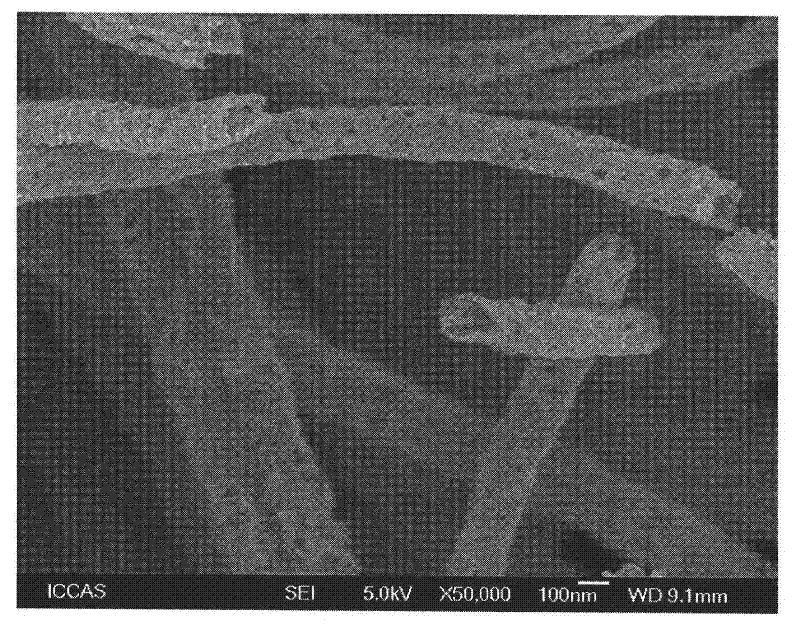 Porous hollow copper oxide nano fiber and preparation method thereof