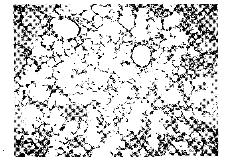 Crystalline pharmaceutical compound and preparation method and usage thereof