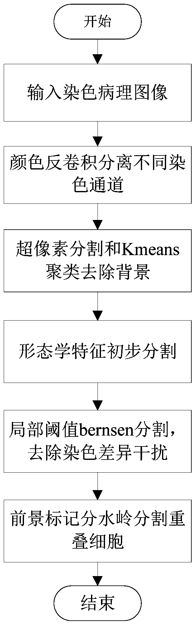 Immunohistochemical pathological image CD3 positive cell nucleus segmentation method and system