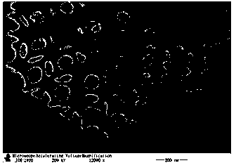 Method for preparation of three-dimensional ordered macroporous Ce-Zr material by using PMMA as template