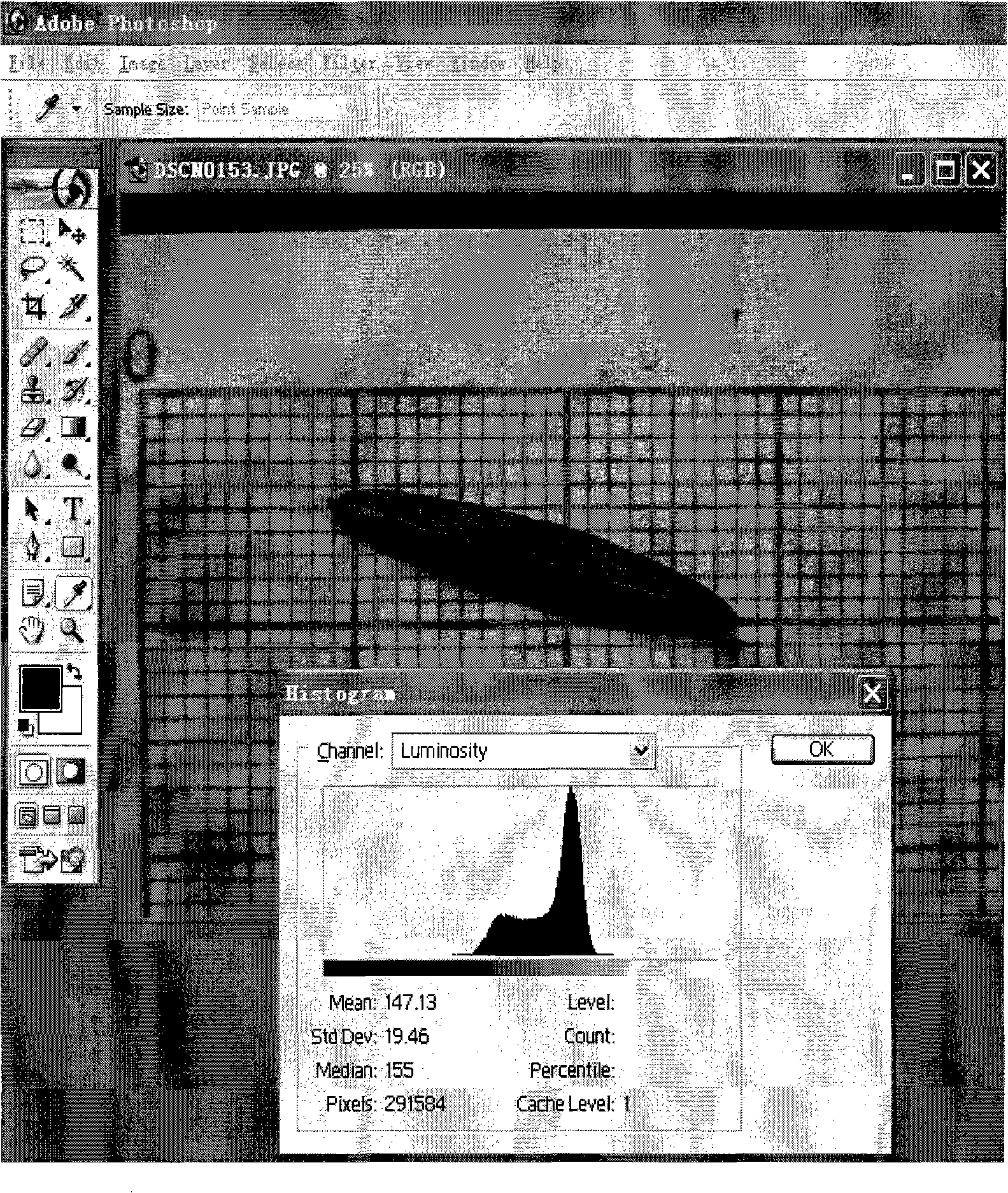 Field measuring method of sand broad leaf plant leaf area