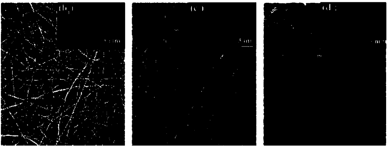 Preparation method of composite FNM (fluorescent nanofiber membrane)