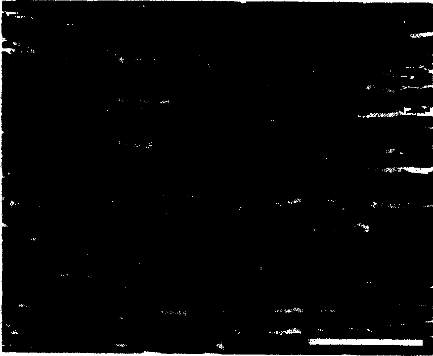 Method for producing low-carbon steel or low-alloy steel plate having submicron crystal grain