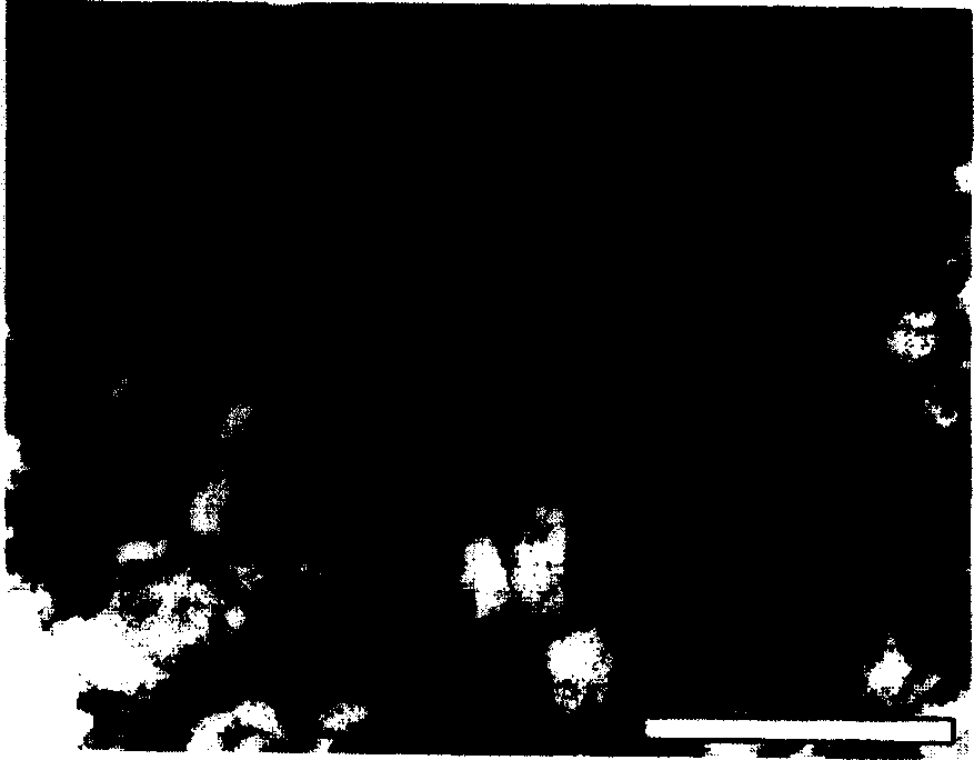 Method for producing low-carbon steel or low-alloy steel plate having submicron crystal grain