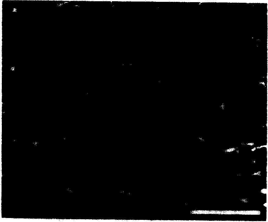 Method for producing low-carbon steel or low-alloy steel plate having submicron crystal grain