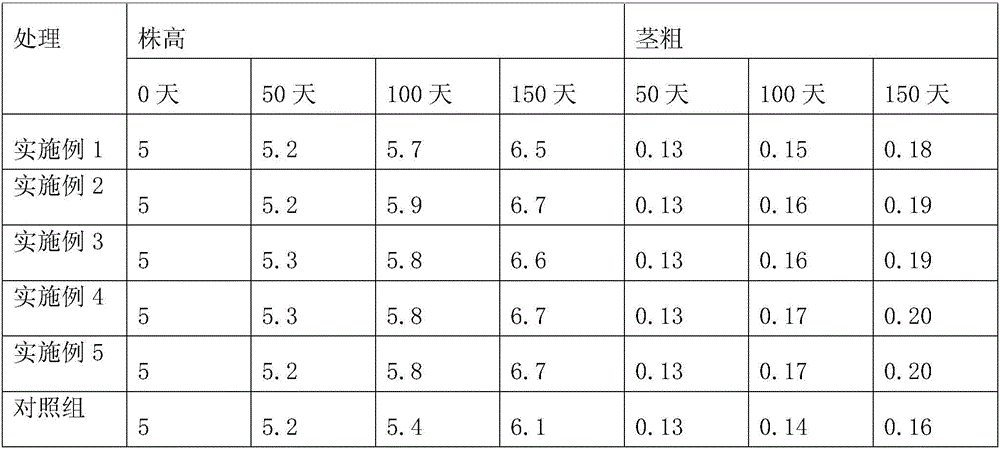 Dendrobium officinale culture medium and preparation method thereof