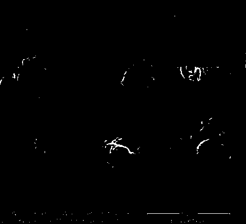 A kind of method for preparing superfine nickel powder by solid phase reduction