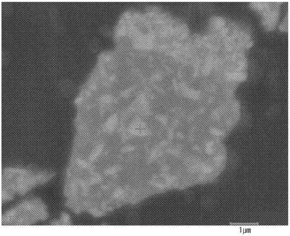 Negative electrode active material for nonaqueous electrolyte secondary batteries and method for producing same