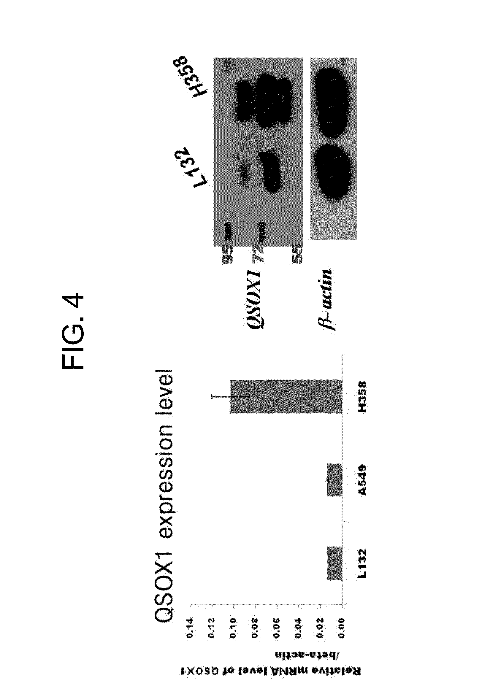 Composition for diagnosis of lung cancer and diagnosis kit of lung cancer