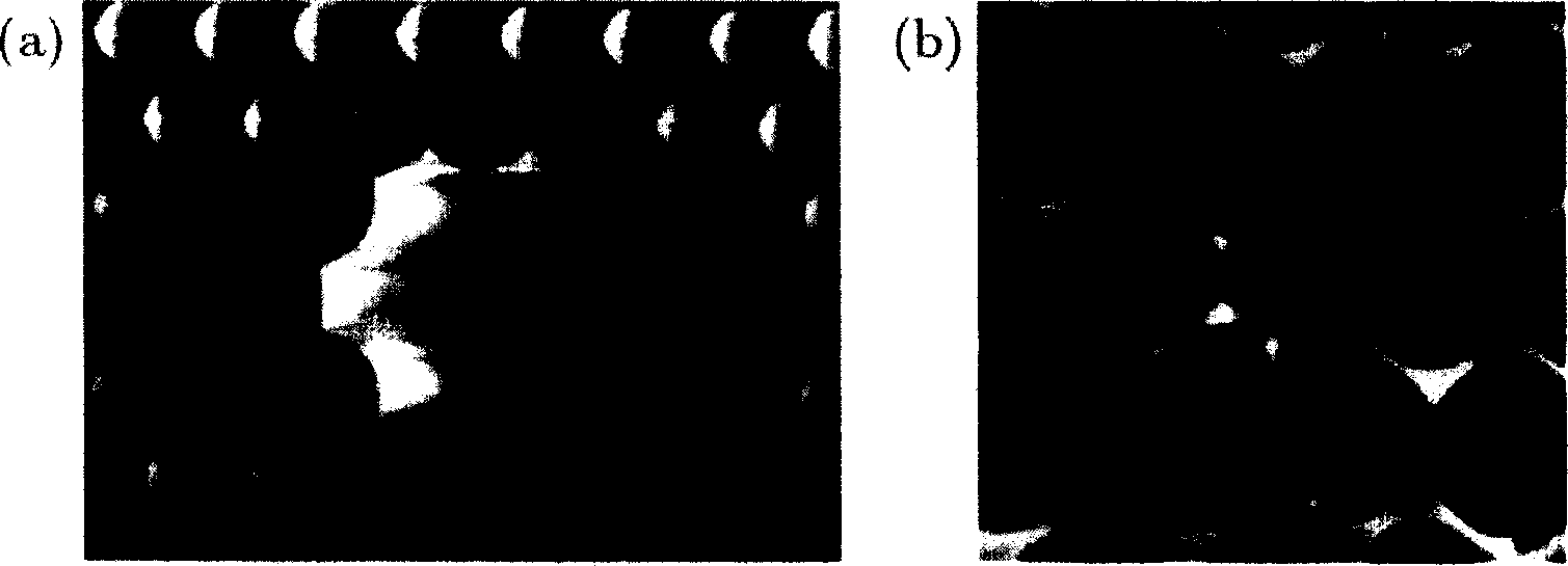 Large mode field area large chromatic dispersion photonic crystal fiber