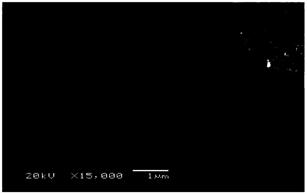 Preparation method of 3D sea urchin spherical carbon-based nickel-cobalt bimetallic oxide composite material