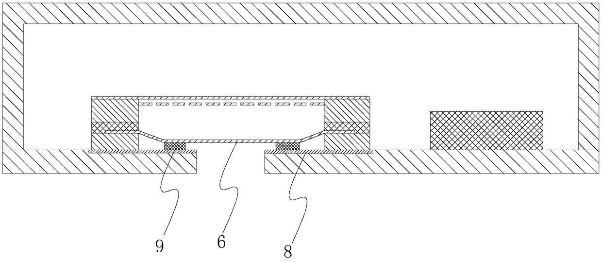 Microphone and electronic equipment