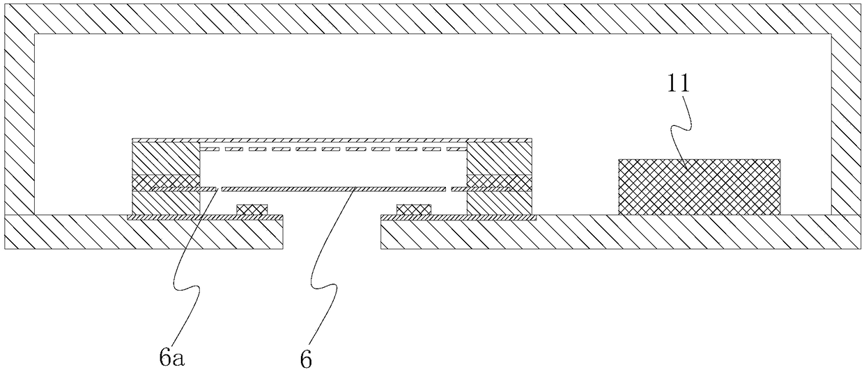 Microphone and electronic equipment