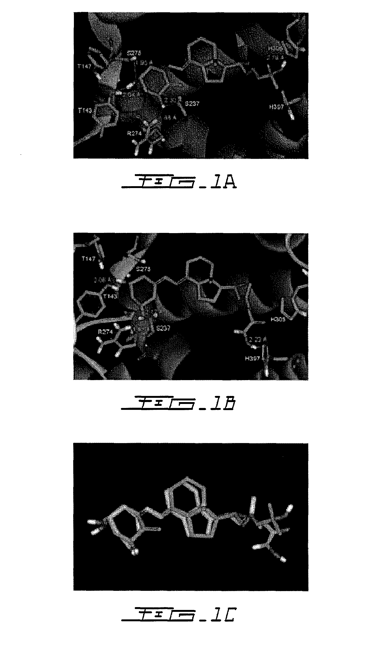 Hybrid molecules having mixed vitamin d receptor agonism and histone deacetylase inhibitory properties