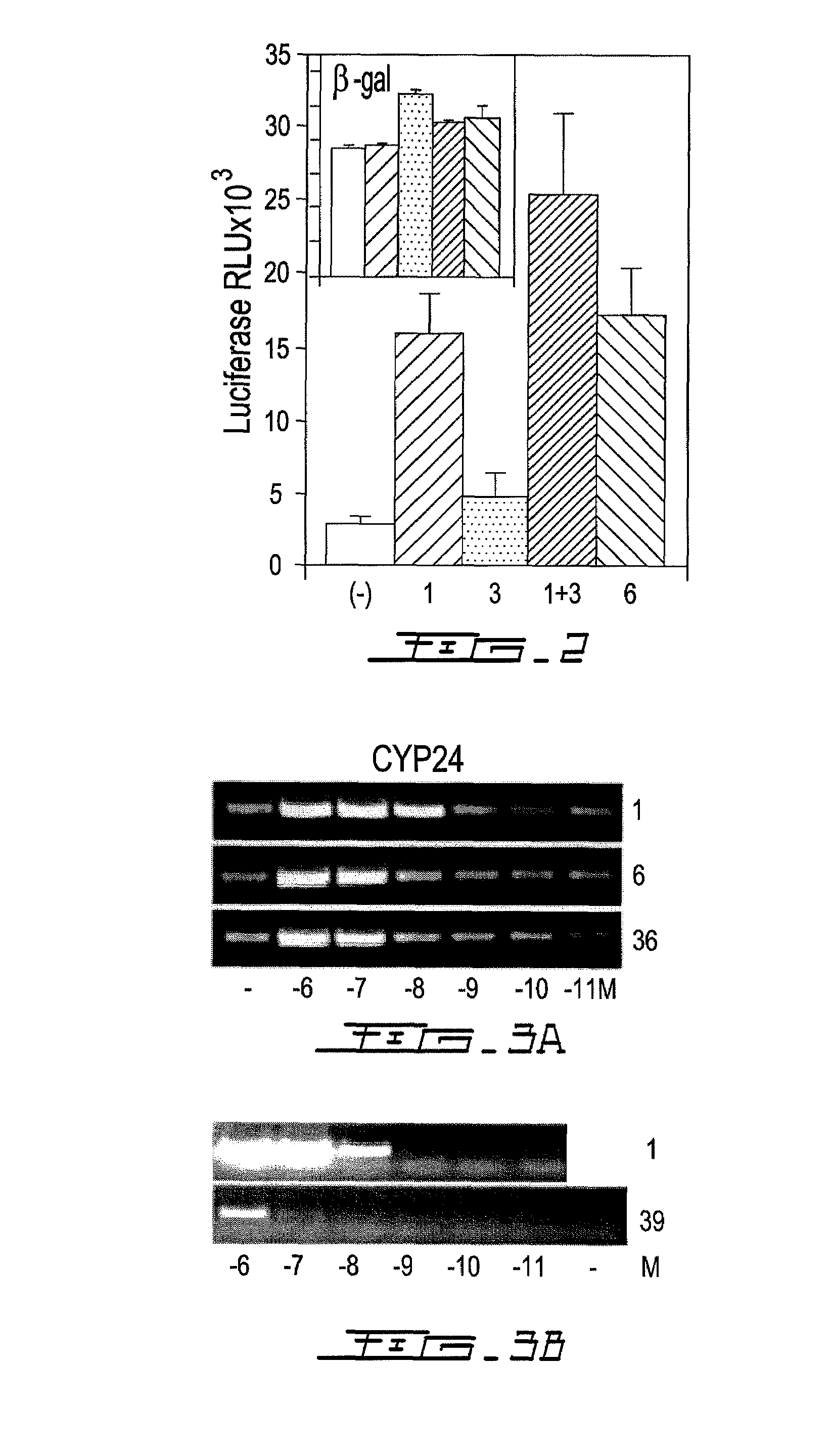 Hybrid molecules having mixed vitamin d receptor agonism and histone deacetylase inhibitory properties