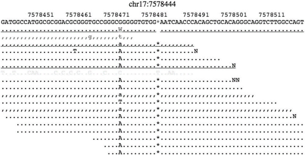 Probe and sequence combination for simultaneous detection of various mutation types