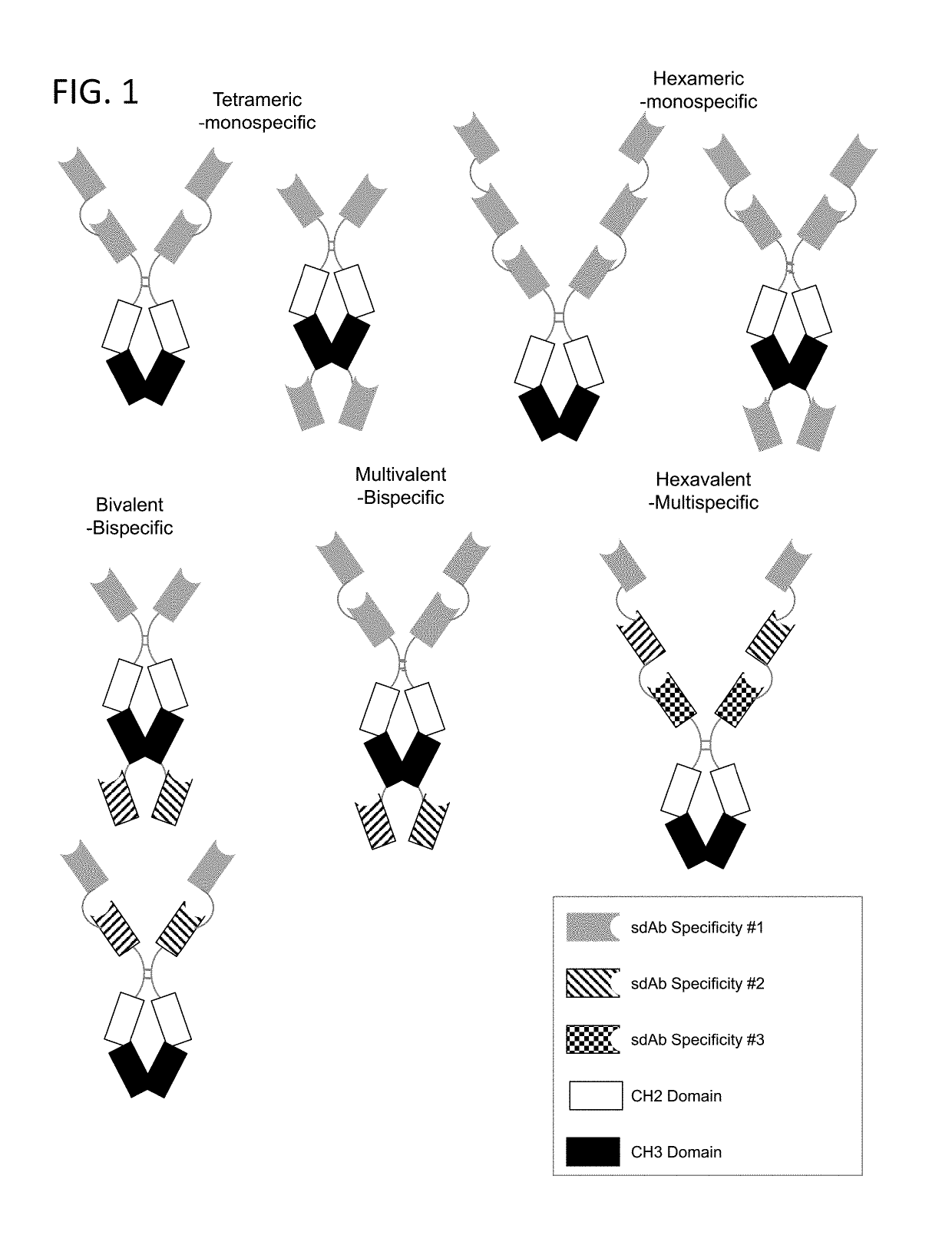 Multivalent and multispecific 41BB-binding fusion proteins