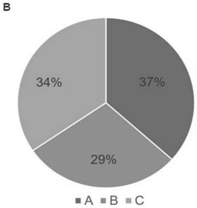 System and method for non-invasive embryo transplantation priority rating