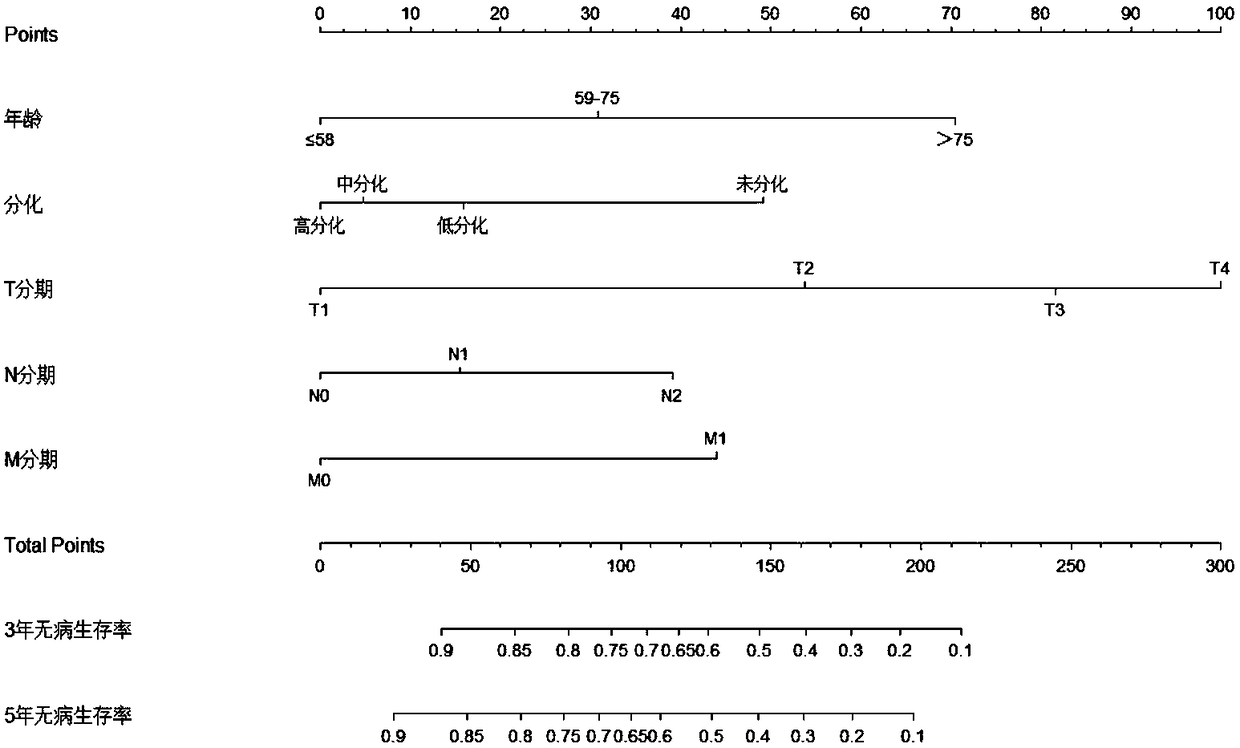 Duodenal adenocarcinoma prognostic prediction system based on COX proportional hazard model