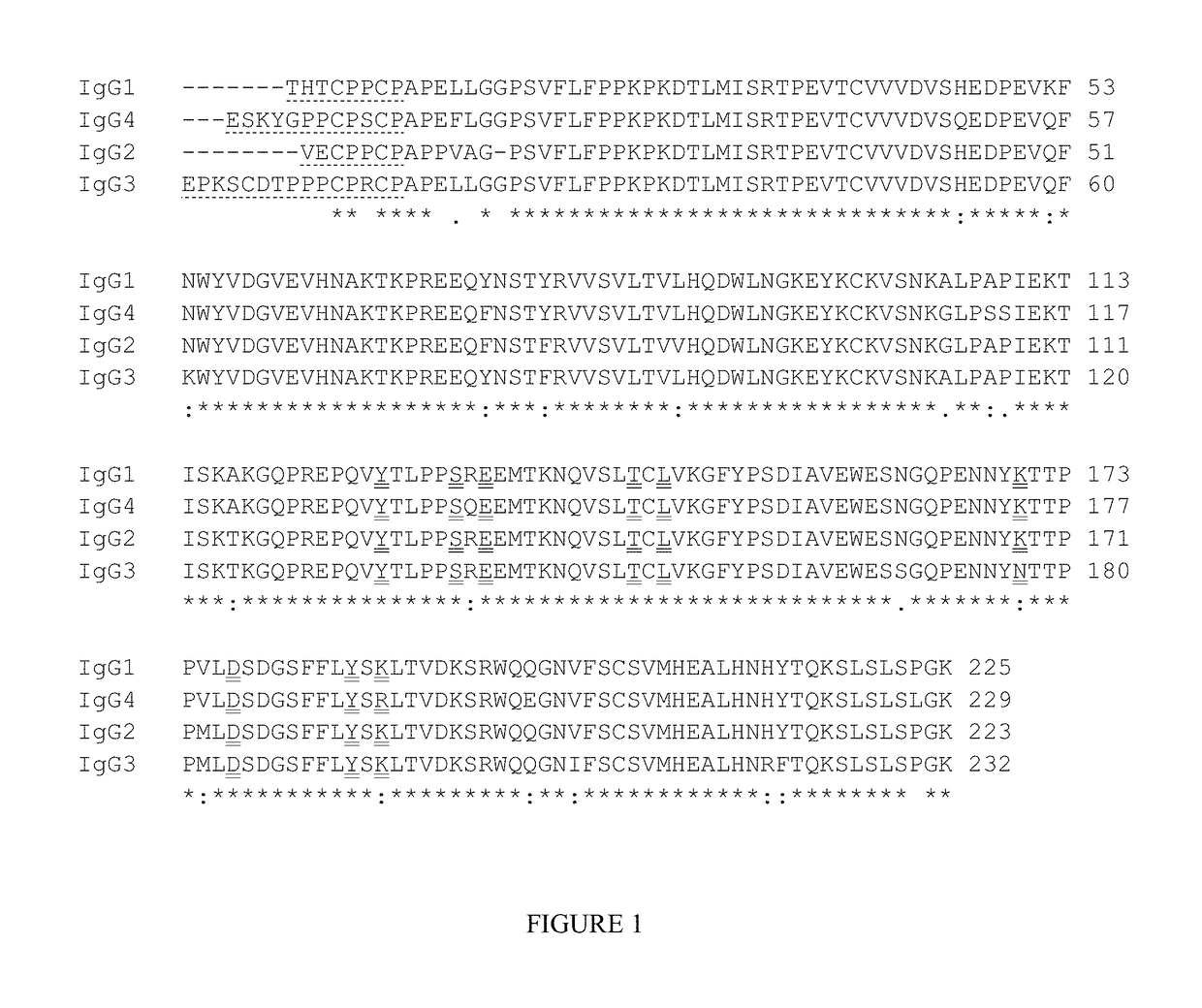 Follistatin-related fusion proteins