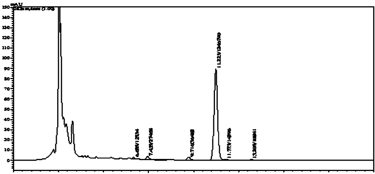 Marine Micromonospora strain for fermentation production of Rakicidin B1, and application thereof