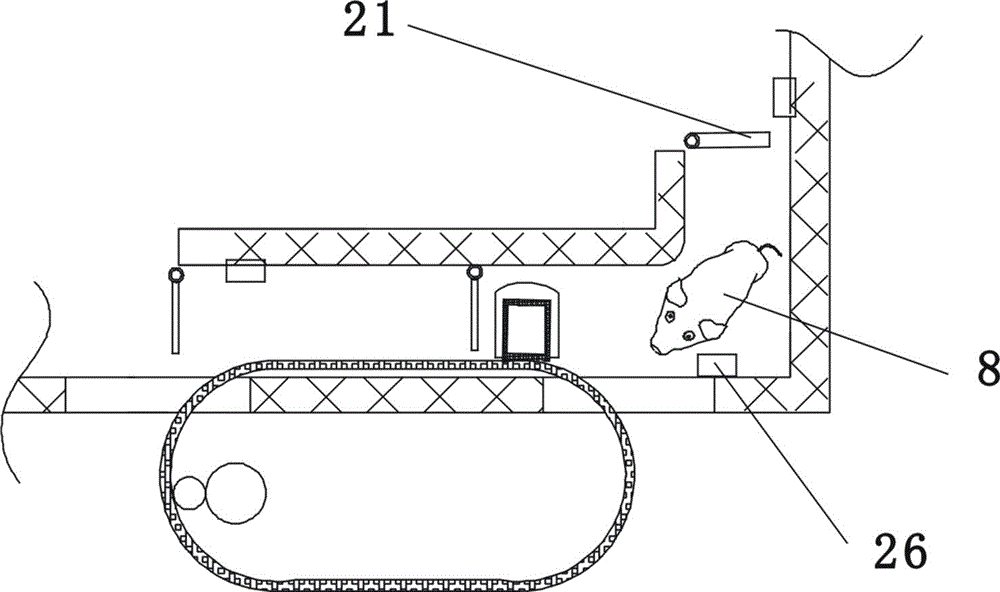 Intelligent pig feeding device and intelligent pig feeding method