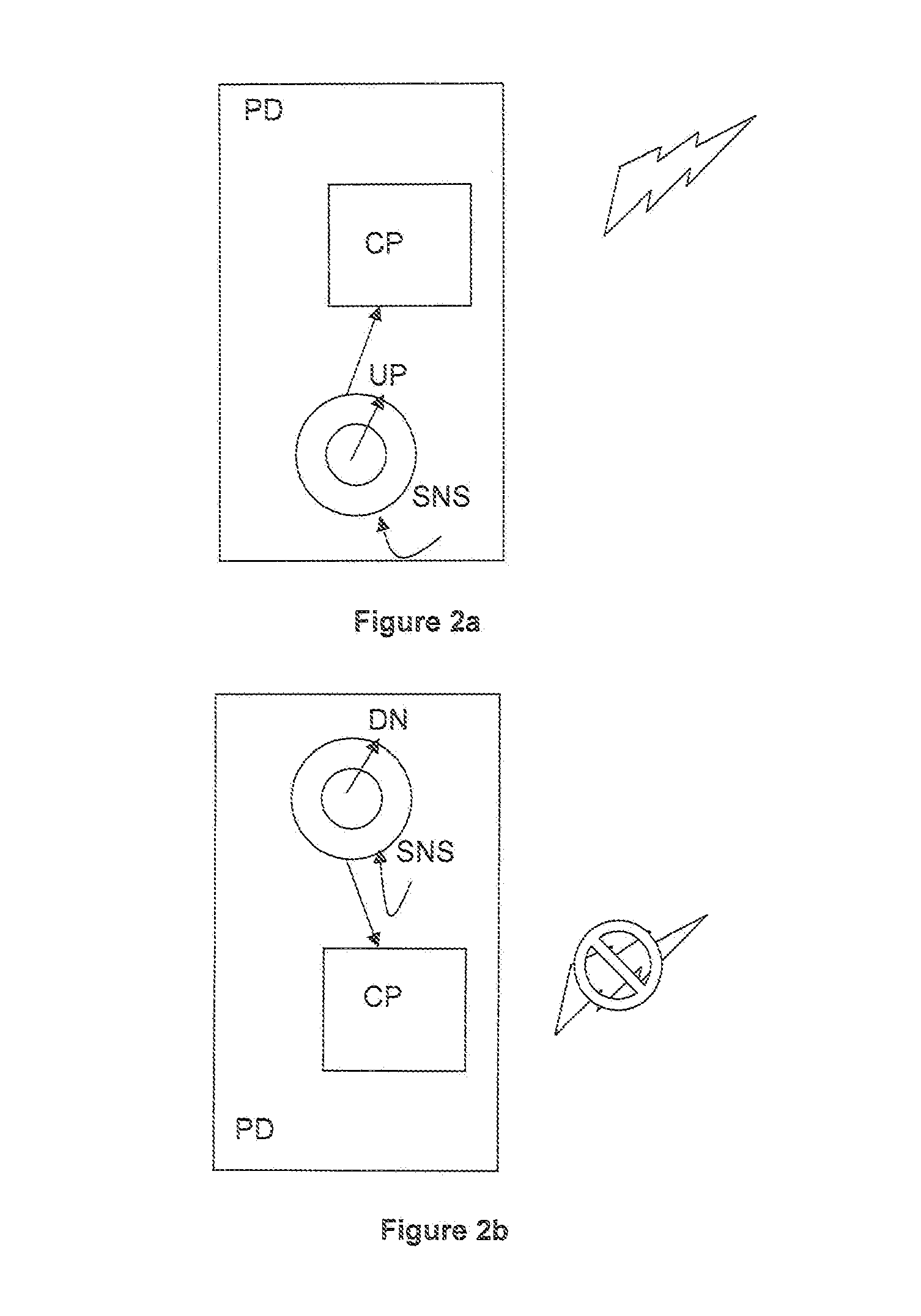 Portable near-field communication device