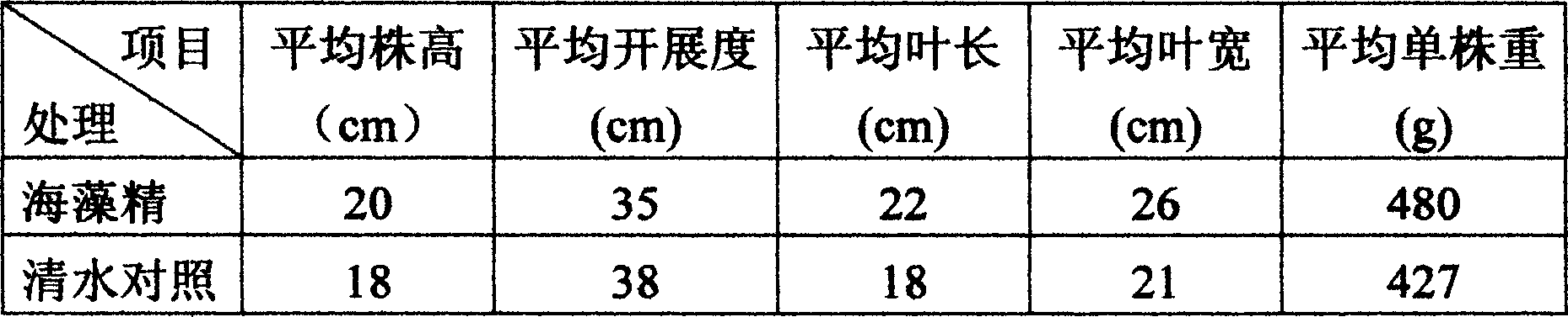 Marine algae extract plant immunity yield increase opsone and preparing method thereof