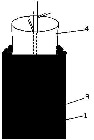 Intercropping method suitable for desert area