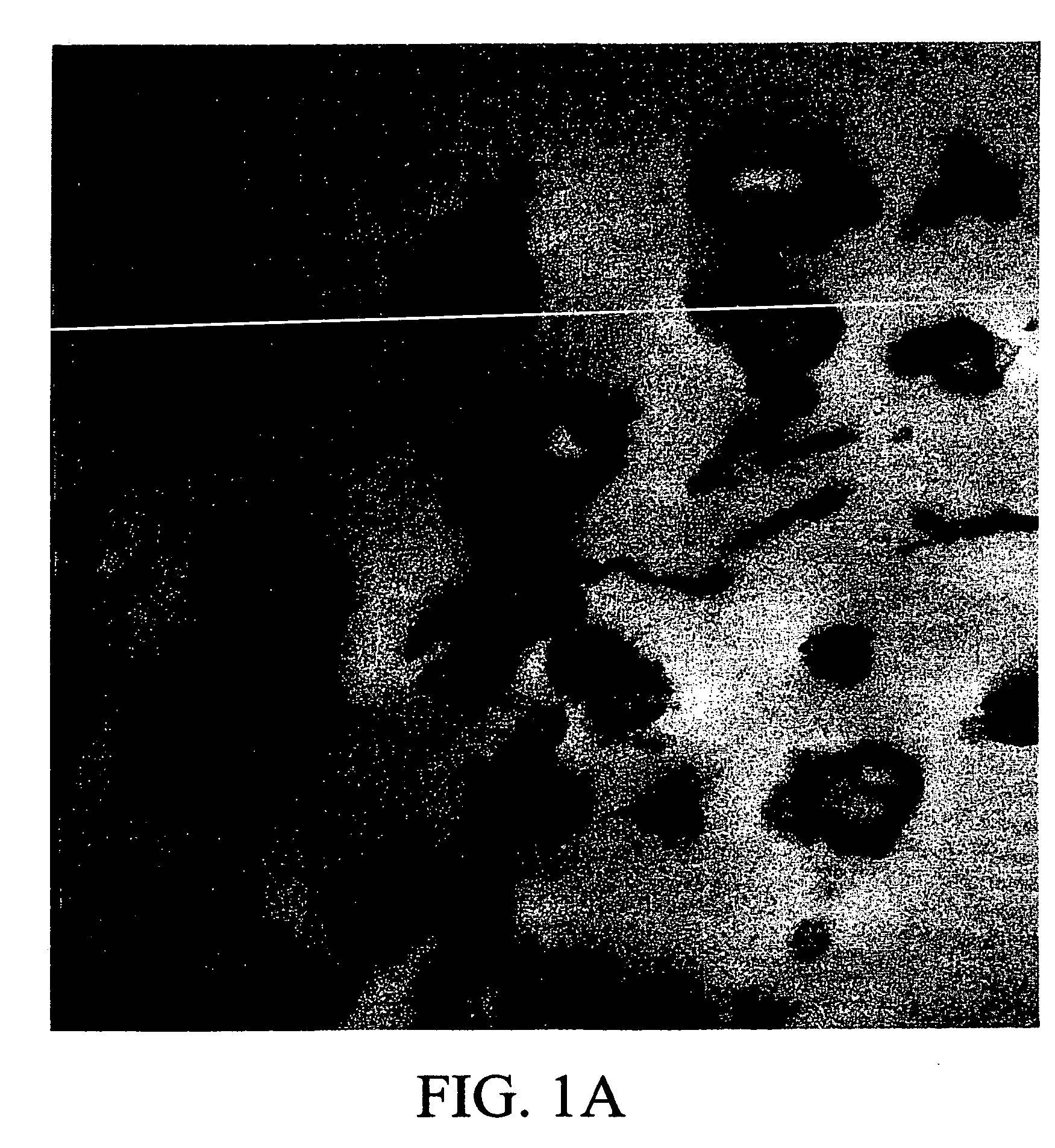 Method of using viscoelastic vesicular fluids to enhance productivity of formations