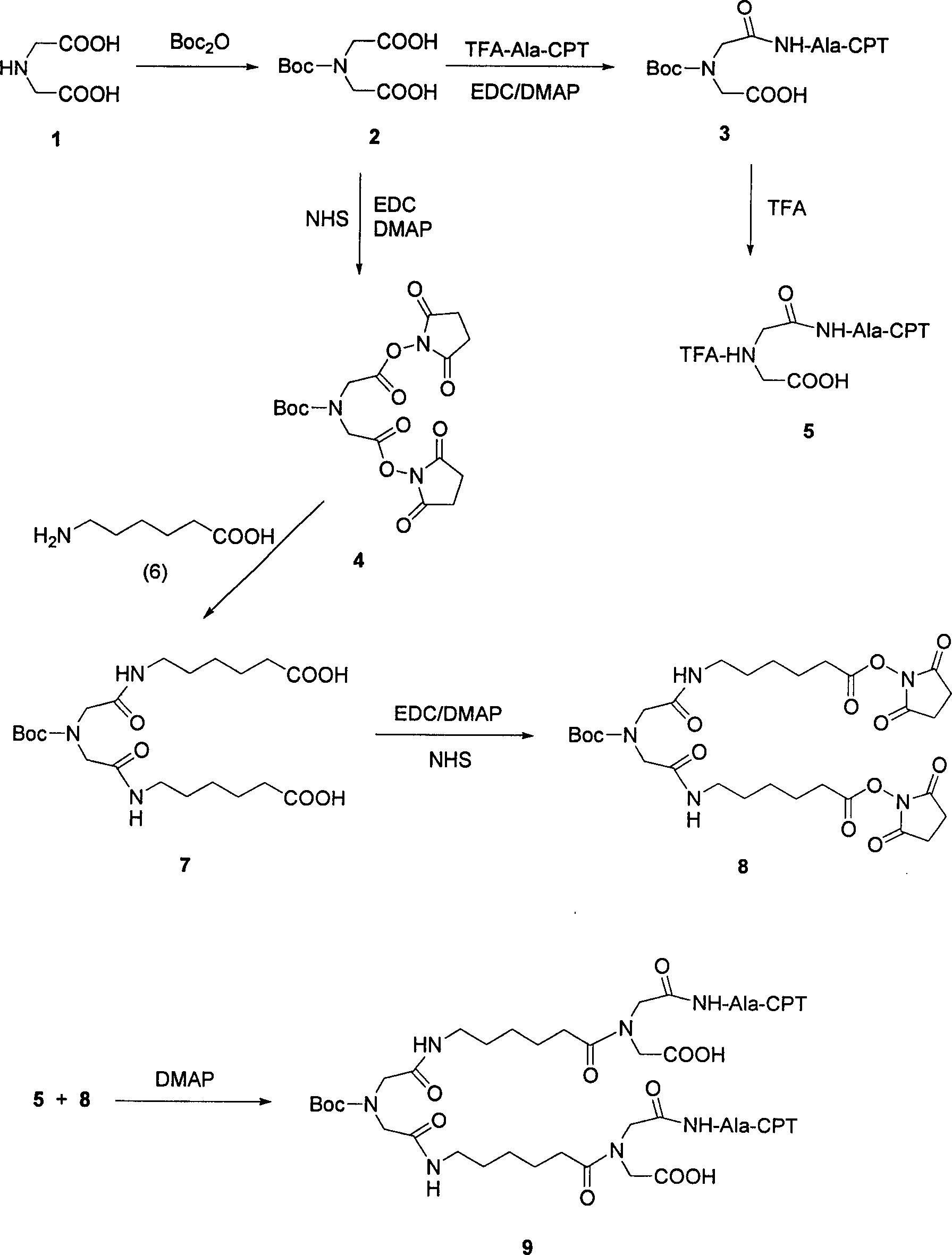 High water-soluble prodrug, and its preparing method and pharmaceutical use