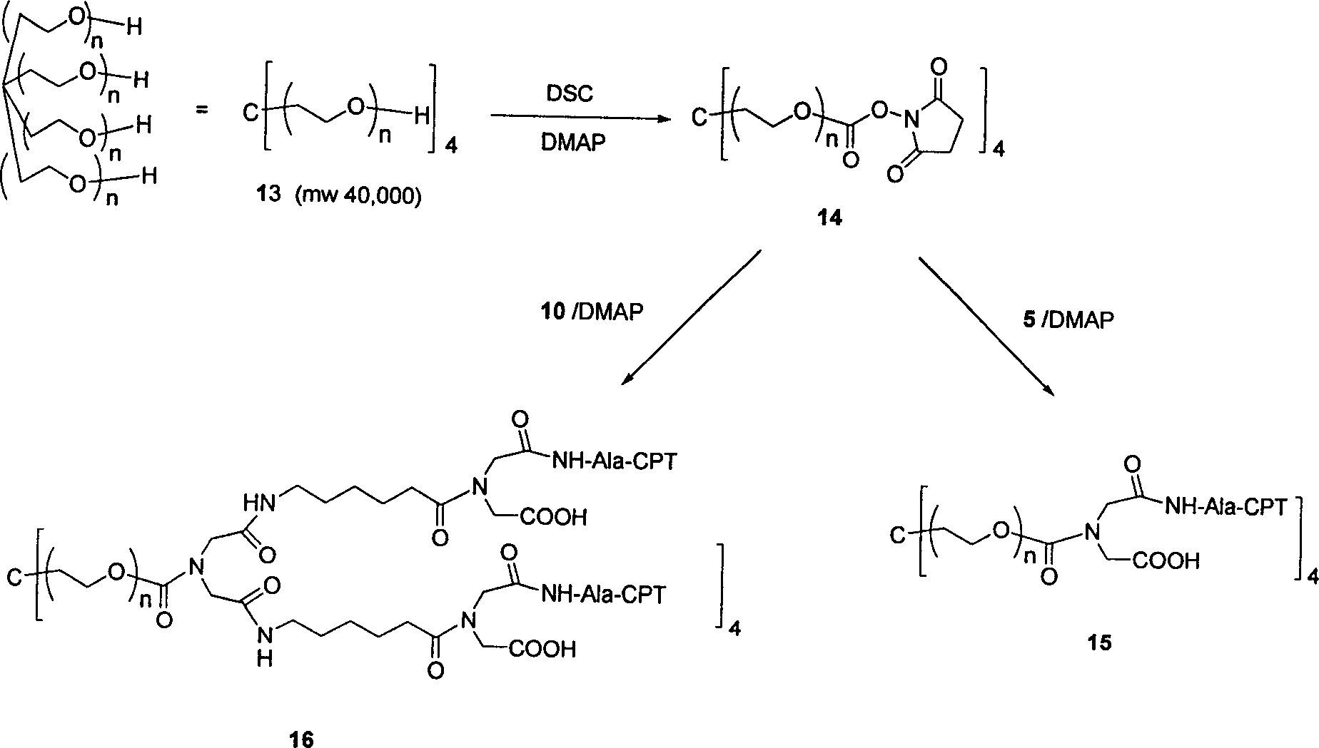 High water-soluble prodrug, and its preparing method and pharmaceutical use