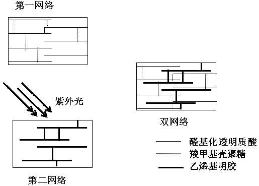 Dual-network hydrogel composition, dual-network hydrogel biological scaffold, preparation method of scaffold, and application of composition