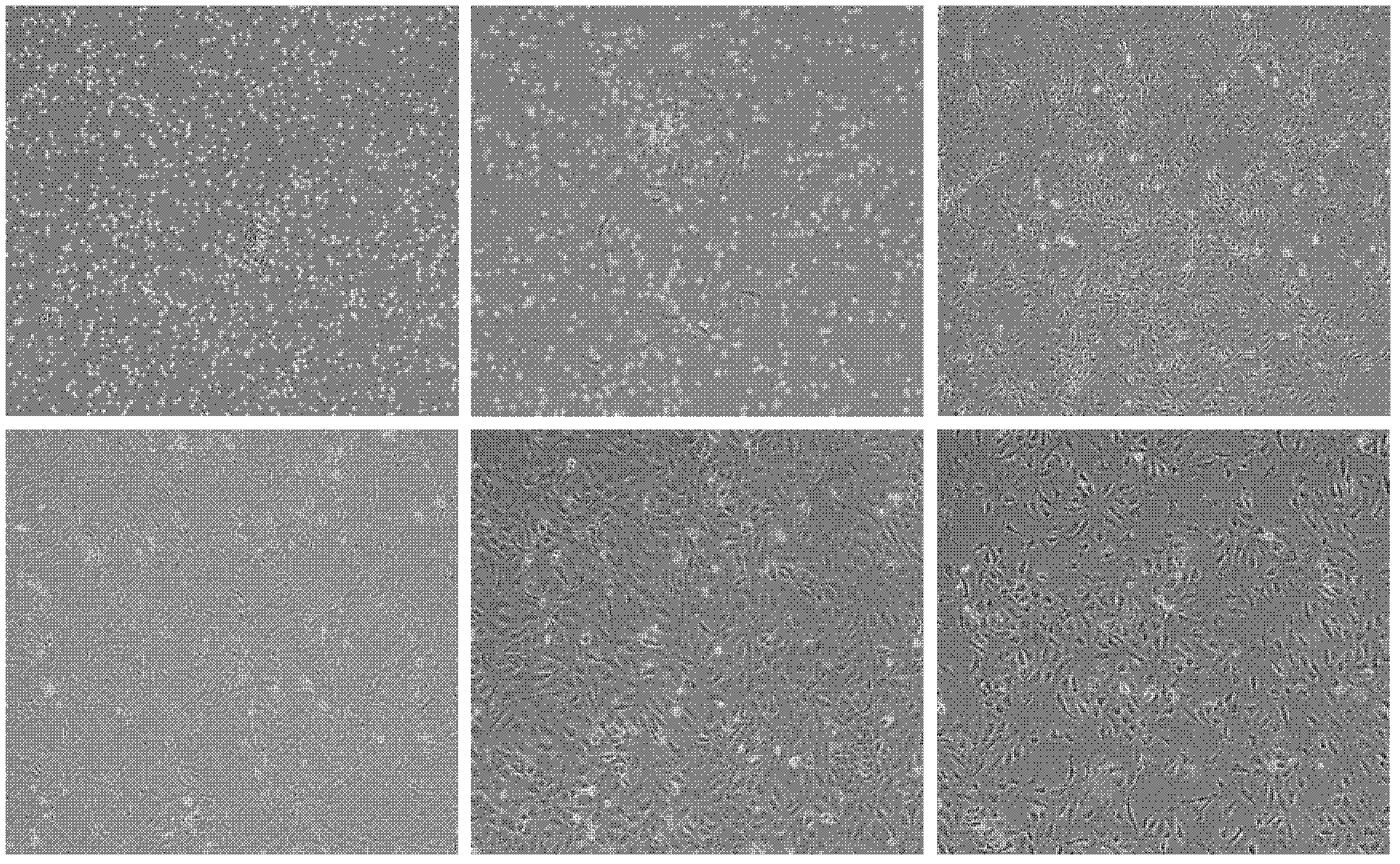 Method for separating and culturing endothelial clone formative cell