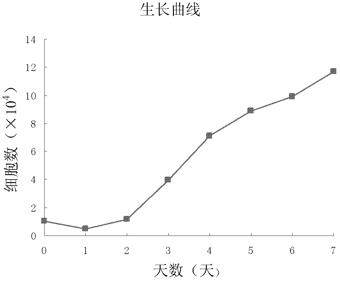 Method for separating and culturing endothelial clone formative cell