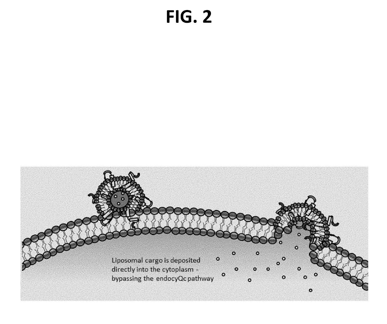 Fusogenic lipid nanoparticles and methods for the manufacture and use thereof for the target cell-specific production of a therapeutic protein and for the treatment of a disease, condition, or disorder associated with a target cell