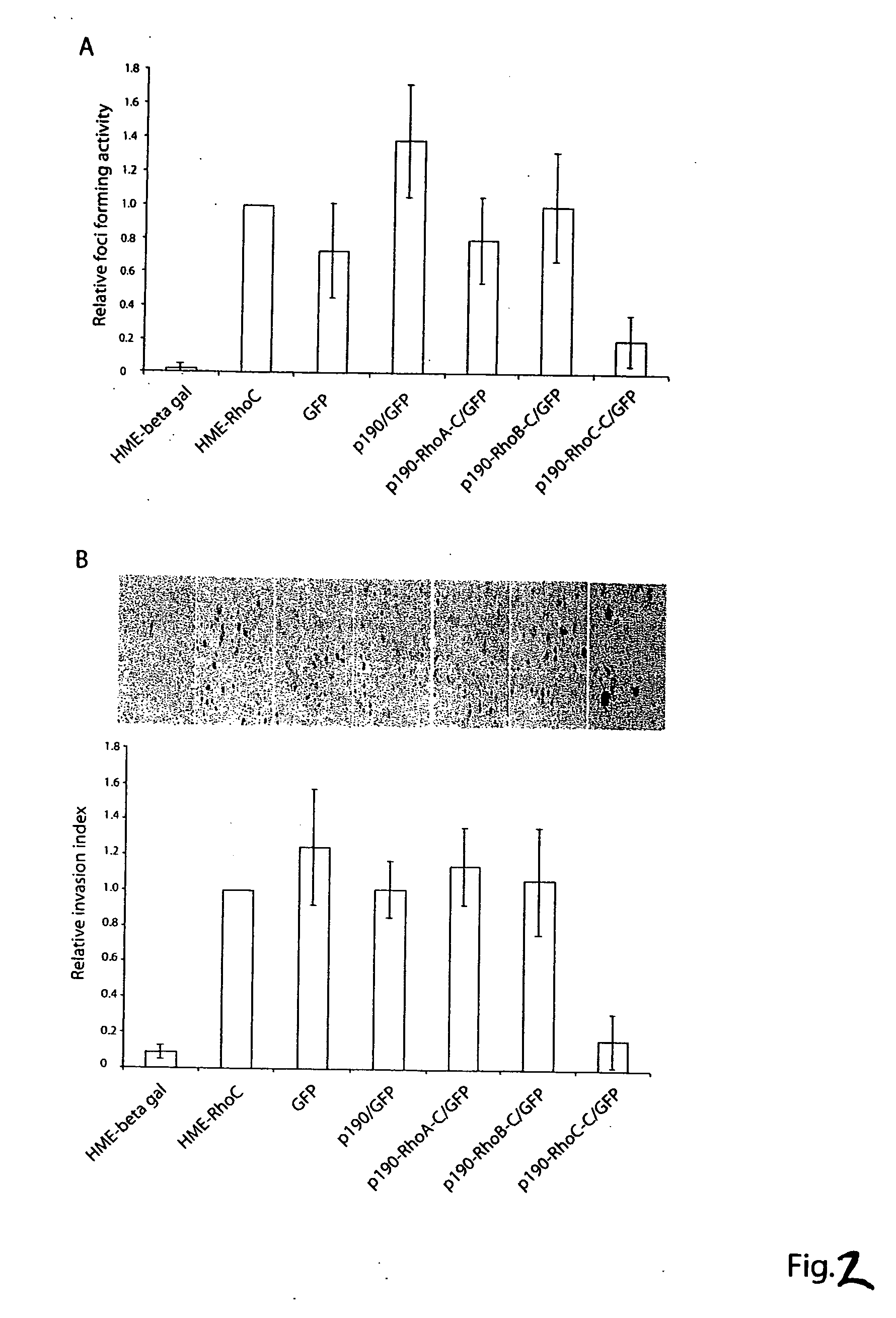 Chimeric peptides for the regulation of GTPases