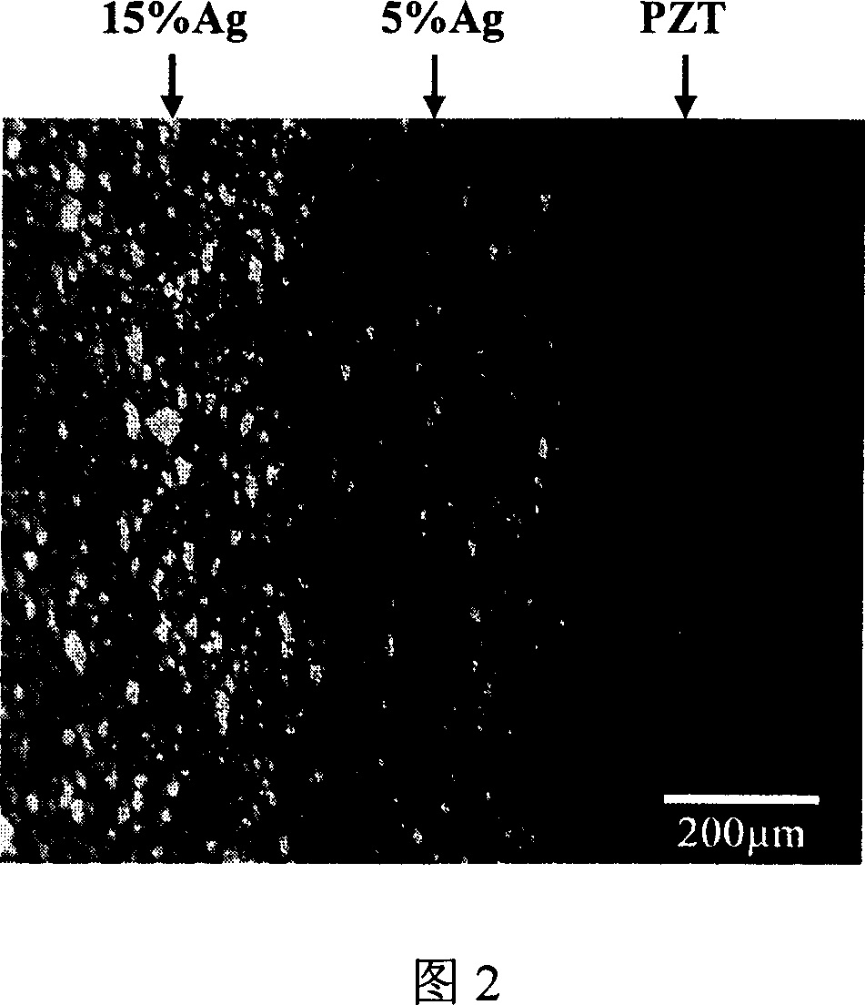 Piezoelectric driving device of functional gradient structure and its preparing method