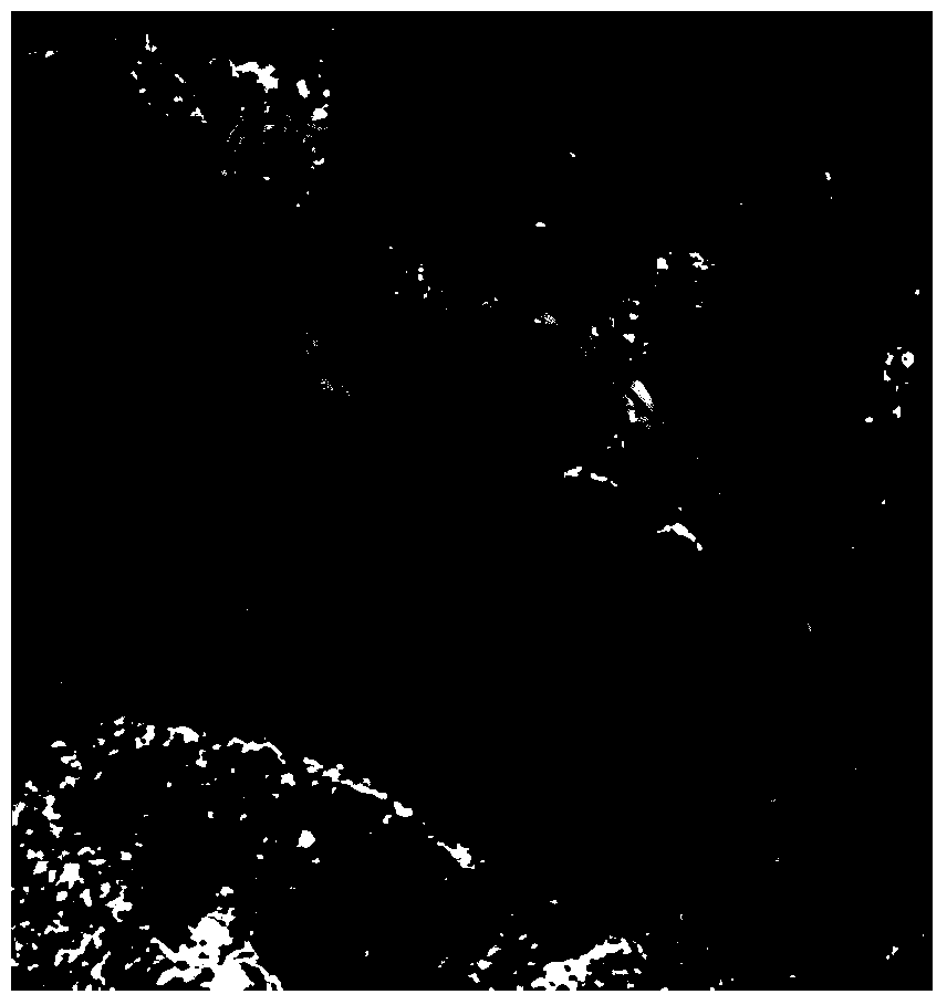 Method for treating texture distortion area of digital orthoimage