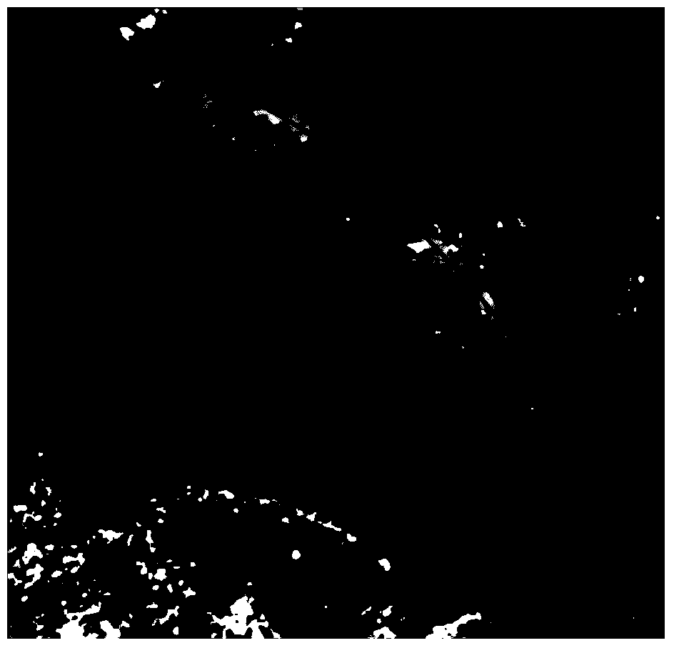 Method for treating texture distortion area of digital orthoimage