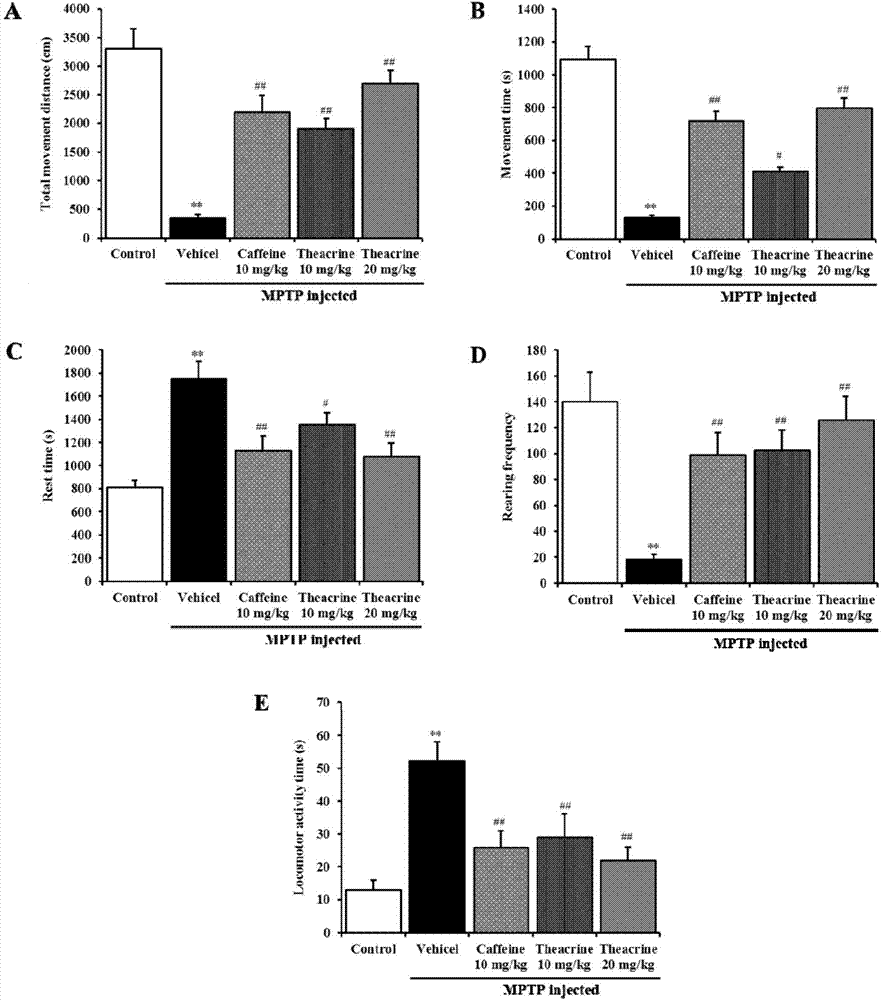 Application of tekaning (Chinese character) in preparation of mitochondrial injury protective agent