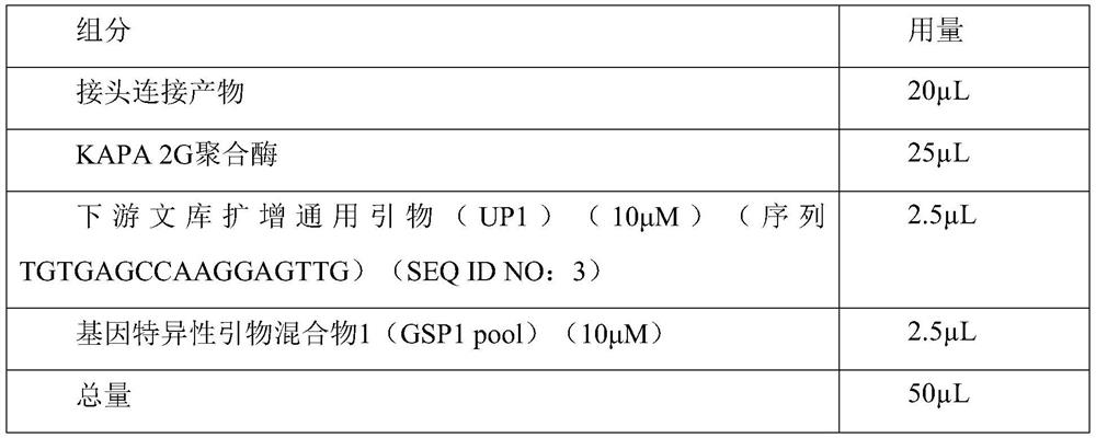 Whole genome combined targeted amplification library building method, reagent and pathogen detection method